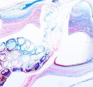 white splash with colour